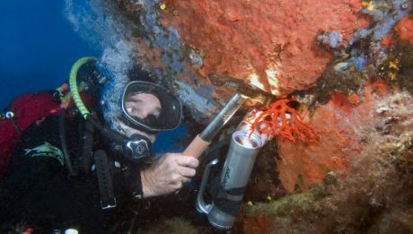 Pêche sélective du corail rouge